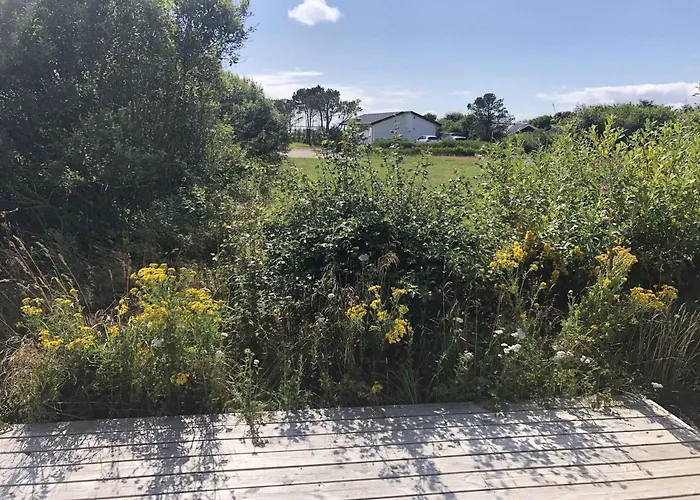 Summerhouse Near The Limfjord And The Western Sea 펜션